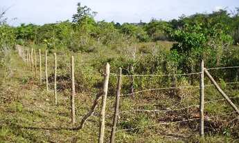 Imagem 4: Terrenos em Pium, próximos a Praia de Cotovelo !