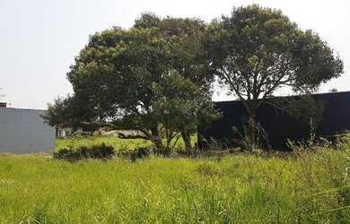 Imagem 6: Terreno à venda, Jardim Guaraú - Peruíbe/SP