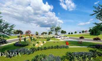 Imagem 2: Casas Financiadas na Planta ( Aparecida de Goiânia .Goiás