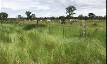 Imagem 3: Fazenda em Santo Antonio do leverger