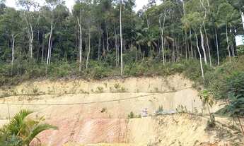 Imagem 4: Chácara à venda, 73.000 m² - Ilha Berger / Cachoeira do Pastor - Santa Maria de Jetibá/ES