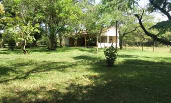 Imagem 3: Vila Rica - Excelente Sítio - 20.000,00m2 (Laser e Produção