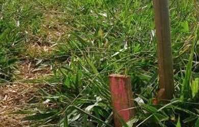 Imagem 3: Tk lotes lindos em até 48 vezes!