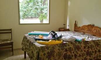 Imagem 6: Chácara a venda em Astolfo Dutra