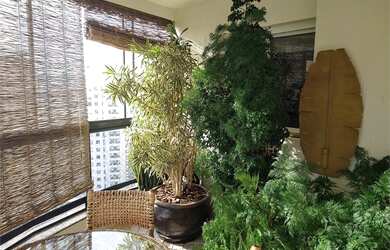 Imagem 3: São Paulo - Apartamento Padrão - SANTANA