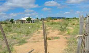 Imagem: Terreno na Serra da Batateira 31x150