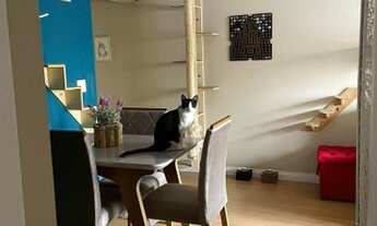 Imagem 5: Apto na Chácara Inglesa