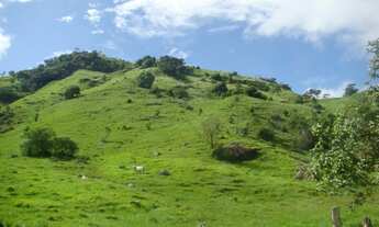 Imagem 6: Terreno de 270 ha para pecuária - ImaruíSC