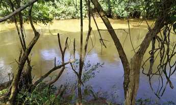 Imagem 5: Chacara em São Miguel do passa quatro na beira do rio dos bois a 90 km de Goiânia