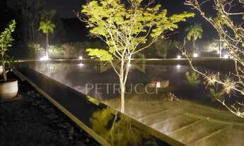 Imagem 7: Terreno - Rodovia - Morungaba