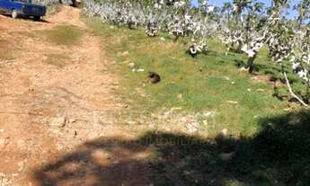 Imagem 2: área - Vila Saltinho - Campinas