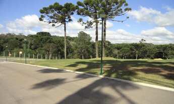 Imagem 6: TERRENO EM UM CONDOMÍNIO ÚNICO, COM INFRAESTRUTURA COMPLETA, AGENDE SUA VISITA