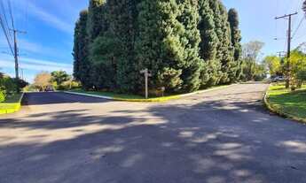 Imagem: Gramado - Terreno Padrão - Mato Queimado