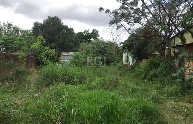 Imagem 6: Terreno para Venda - 0m², 0 dormitórios, Camaquã