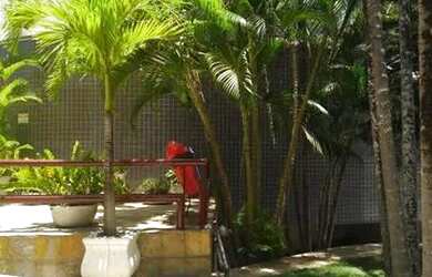 Imagem 2: ILHA DE GHARBI l ALUGA ESPINHEIRO l 123m² l R$ 3.500 (CONDOMINIO E IPTU INCLUSO) l 02 VAGA