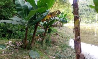 Imagem 4: Achou sua sonhada chácara 4900 mts lagao chalé plaina