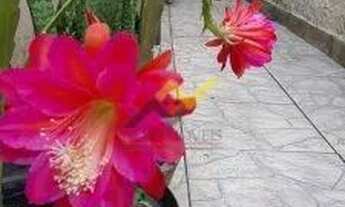 Imagem 6: Casa para Venda em Mongaguá, Agenor de Campos, 2 dormitórios, 1 suíte, 2 banheiros, 1 vaga