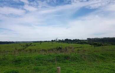 Imagem 3: Fazenda a venda em Morrinhos Goiás!!!