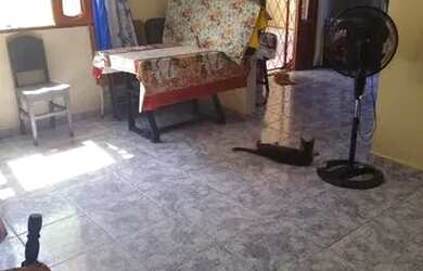 Imagem 6: Vendo casa no educandos