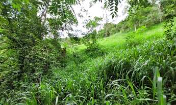 Imagem 6: Lote/Terreno para venda com 888 metros quadrados em Pedro do Rio - Petrópolis - RJ