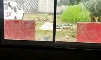 Imagem 3: Vende-se casa em jardim anhanga terreno 12x30