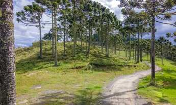 Imagem 2: MORRO DA IGREJA - Terreno escriturado com 2,0 hectares pronto para construir - URUBICI - S