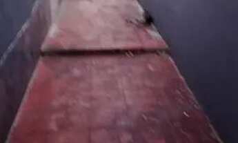 Imagem 3: Vendo excelente casa plana no Henrique Jorge