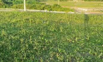 Imagem 6: Repasse terreno condominio bela aurora