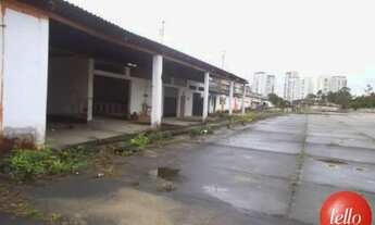 Imagem 4: São Paulo - Terreno Padrão - Lapa