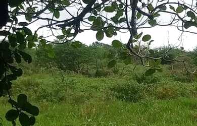 Imagem 2: Vendo terreno em Magalhães próximo ao águas Claras