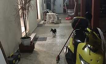 Imagem 6: CHÁCARA, SITIOS E FAZENDAS p/ VENDAS em SALTO no bairro SANTA ROSA