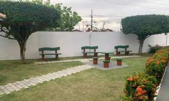 Imagem 15: Palm Ville 66752