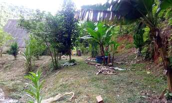 Imagem 3: Achou sua sonhada chácara 4900 mts lagao chalé plaina