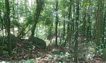 Imagem 9: Terreno à venda, 10000 m² por R$ 155.000,00 - Rio Sagrado - Morretes/PR