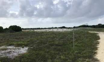 Imagem: Terreno na praia do Abais