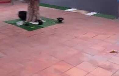 Imagem 4: Vendo excelente casa plana no Henrique Jorge