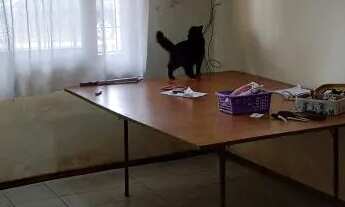 Imagem 6: Vendo casa de alvenaria - Chuí/RS