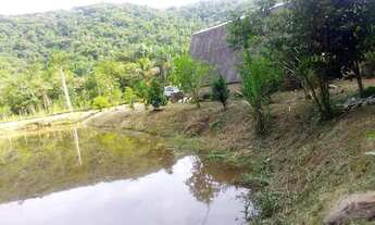 Imagem 2: Achou sua sonhada chácara 4900 mts lagao chalé plaina