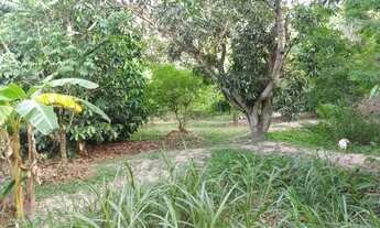 Imagem: SITIO 3 HECTARES Á VENDA