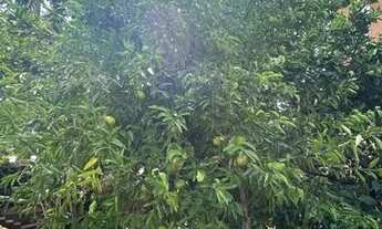 Imagem 11: Casa de aluguel - Boa Vista (Guia Lopes) - Novo Hamburgo 1.100,00