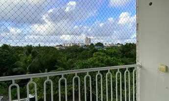 Imagem 3: Apartamento na serraria