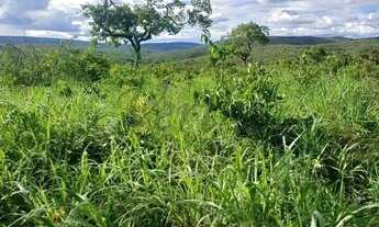Imagem 6: Fazenda à venda, 376 hectares,com minerio de ferro, Salinas - MG