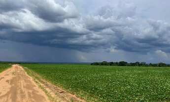 Imagem 4: Fazenda 2.436hec nova Motum com silo, R$:1.100.000 sacas soja