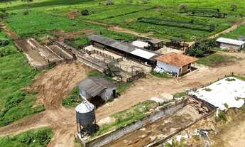 Imagem 7: Fazenda com 685 hectares a venda em Alexânia - GO