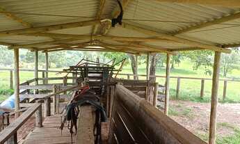 Imagem 5: Fazenda à venda possui 125 alqueires em Zona Rural - Cocalzinho de Goiás - GO