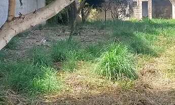 Imagem 6: Casa em terreno de 960 mtrs