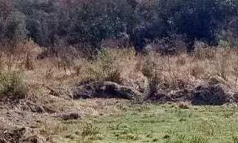 Imagem: Lote em Rua Caminho D, lote 21 - Jardim