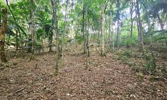 Imagem 7: Excelente terreno em Juquitiba