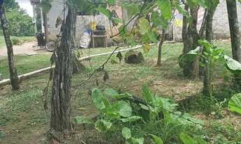 Imagem 7: Chácara em Ribeirão do Meio