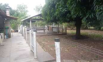 Imagem 2: Fazenda de 290 Hectares em AcorizalMT